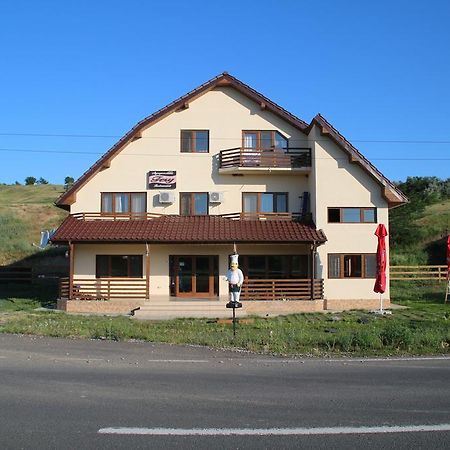 Pensiunea Fery Slobozia-Oancea エクステリア 写真