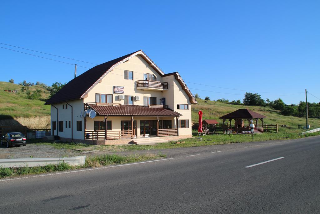 Pensiunea Fery Slobozia-Oancea エクステリア 写真