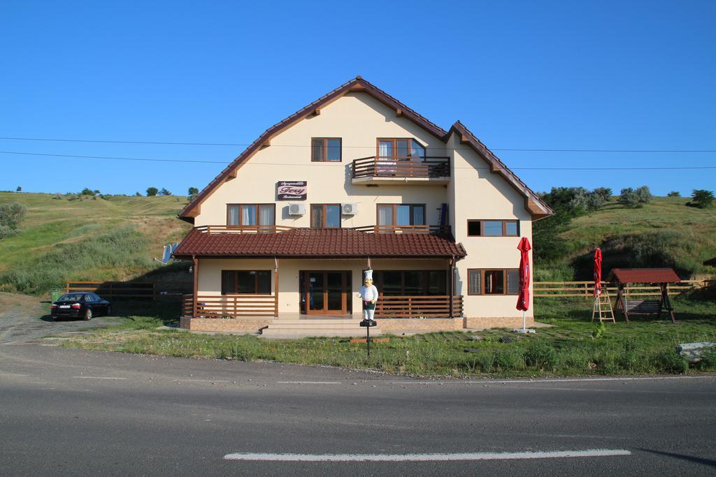 Pensiunea Fery Slobozia-Oancea エクステリア 写真
